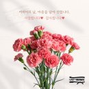 박종우태권도 이미지