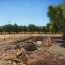 라벤데리아 이미지