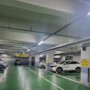 에이스동물메디컬센터 이미지