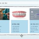 청송동물병원 이미지