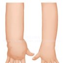 스킨트리 이미지