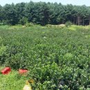 달천농장 이미지