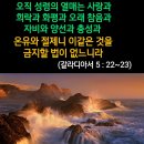 ♧주제별 성경 150구절중 말씀(사랑1 ~ 사랑5)시리즈_15 이미지