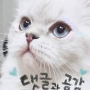 펫츠월드 이미지