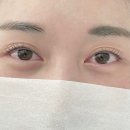 하브뷰티 | 수원 인계동 속눈썹펌 바짝 올라가게 잘하는곳 하브뷰티 샵 후기