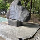 월광수변공원주차장 | [대구 강아지 산책] 천연잔디 뛰뛰 가능한 월광수변공원 후기