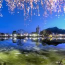 영산 연지 이미지