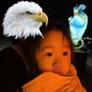 몽글몽글 | [23개월 아기랑] 2026 성남연등회 후기