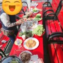 라이브 펜션 | 용문산 펜션(라이브힐링 펜션)