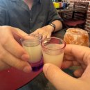 (주)노마드트래블 | 노마드트래블 당일치기 토스카나 투어!로마출발-피렌체 이동 샌딩투어 추천 후기(마이리얼트립)