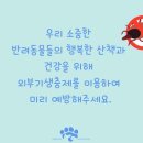 라온동물병원 이미지