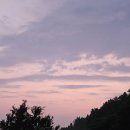 귤한가 | 제주 감성 숙소 귤한가에서의 밤 &amp; 조식