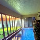 힐스톤애견풀빌라 이미지