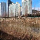 갈맷길8-2 이미지