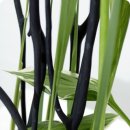 화비꽃방 이미지