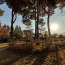 양주중학교 이미지