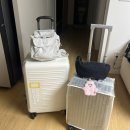 박기봉 | 신혼여행 1~2일차 (한국>로마, 로마관광)