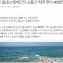 "동해안의 눈물" 피서객 400만명 줄었다 이미지