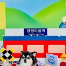 2025 순천 댕댕트레인 이미지