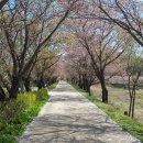 파평면사무소 앞 이미지