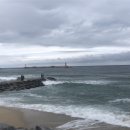 초당커피정미소 이미지