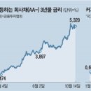 채안과 매일경제