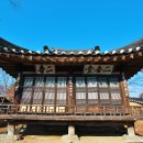 이오당