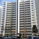 판암동236 이미지