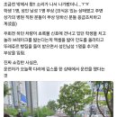제과점 - 유성구 계룡로 47 | 제과점