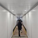 [베트남] 다낭 국제공항 출국 후기 | 제주항공 타고 김해공항 입국, 공항 내부 총정리 ✈️