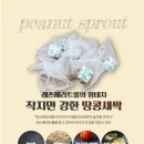 (주)누리팜 | 우포누리팜《새싹땅콩차》&amp;《새싹땅콩분말》 로 식탁엔 럭셔리한 풍미를...