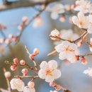 원주중앙요양원 이미지