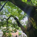 회화경로당 이미지