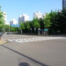 하나아파트 앞 횡단보도 네이버블로그