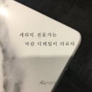 대로인터내셔날 이미지