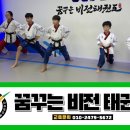 비전 태권도장 이미지
