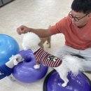 눈보뛰 프리미엄 이미지