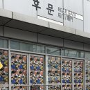 장충체육관 후문 이미지