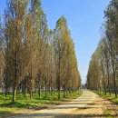 백곡천2 이미지