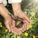 씨네아트(cineart} 이미지