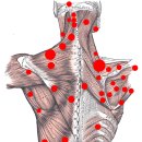 서창제일의원 이미지