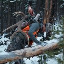 (NICE)나이스 이미지