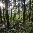 코리아둘레길 「남파랑길」(해남구간) 이미지