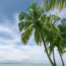 ✨ 방콕 파타야 SPOT특가 ✨ 499,000부터~ 이미지