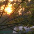 서해안 농장 이미지