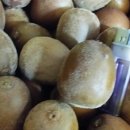 가야농원 이미지