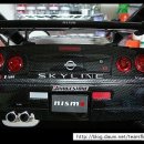 Hot Works 사의 1/10 RealCraftBody [Sky-Line GTR] 이미지