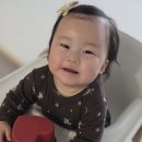 내돈내산_러빗 공구 가격(러빗 하트볼, 식판, 에코젠)
