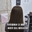 마그넷헤어 동대구점