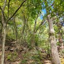 얼음골정류소 | 20241013 월악산 얼음골 ~ 제비봉 ~ 장회교 월악로 ~ 악어봉 ~ 월악로 / 반더룽 산악회